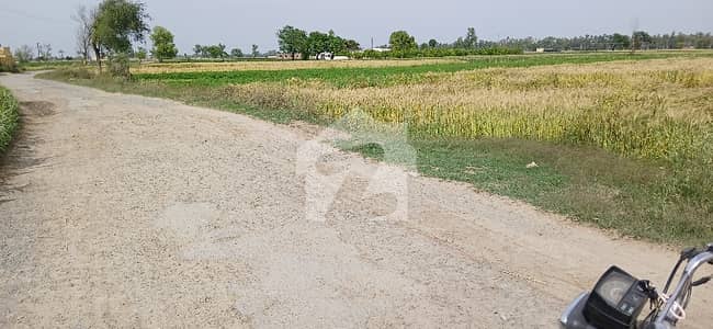 Green Land Main Barki Road Direct Access 8 Acor Land For sale Carpet Road Golden opportunity for Huge Farmhouse in lowest budjet