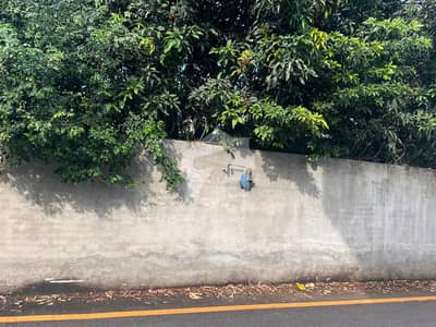 5 Marla plot for sale in Gulistan Colony