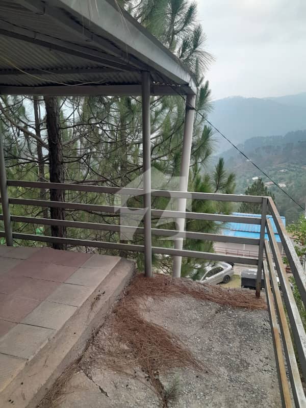 House Of 16 Marla Is Available For Sale House Of 16 Marla Is Available For Sale