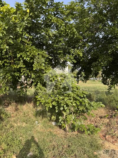 Exclusive 1 Kanal Plot Available in Prime Z1 block DHA Phase 7 Lahore