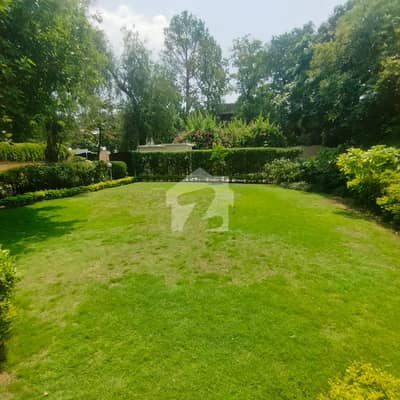 Elegant Luxury House for Rent in F-6 | 1,000 Sq. Yards | Huge Lawn