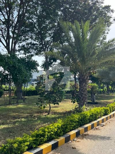 Top Class Bungalow 6 Bed Rooms With 2 Kitchen Garden Parking Servant Room Beautiful Location Reasonable Demand