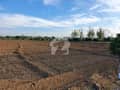 4 4