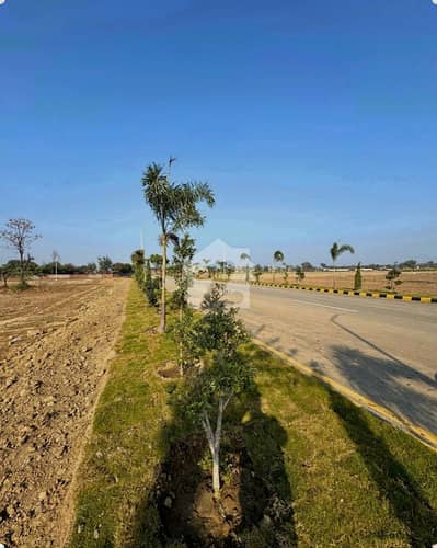 Lahore Organic Farms Society Located on Main Barki Road, Lahore.