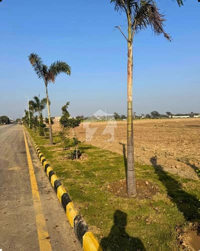 Lahore Organic Farms Society Located on Main Barki Road, Lahore.