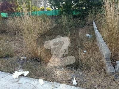 5 Marla Residential Plot for Sale in Bhara Kahu Secure Your Future Today! 5 Marla Residential Plot for Sale in Bhara Kahu Secure Your Future Today!