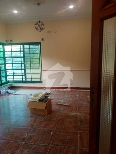 E-11 corner House special designing for rent E-11 corner House special designing for rent