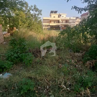 beautiful society noc CDA clear all facility corner plot 14marla