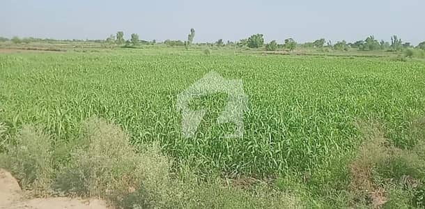 AGRICULTURE LAND FOR SALE BEST FOR FARM HOUSE. . . . AGRICULTURE LAND FOR SALE BEST FOR FARM HOUSE. . . .