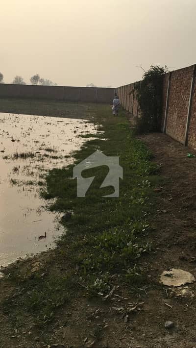 فیروزپور روڈ قصور میں 11 کنال صنعتی زمین 5.5 کروڑ میں برائے فروخت۔