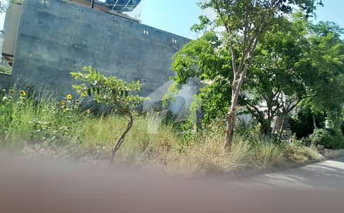 جناح گارڈنز ایف ای سی ایچ ایس,اسلام آباد میں 8 مرلہ رہائشی پلاٹ 1.35 کروڑ میں برائے فروخت۔