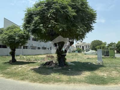 23 Marla Corner Residential Plot No 504 For Sale In DHA Phase 6 Block F Prime Location