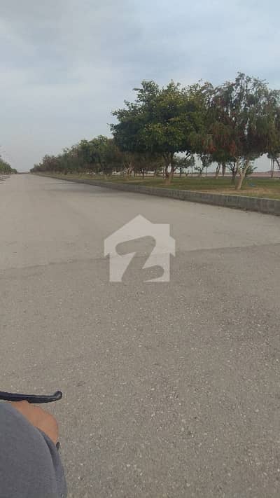 Beautiful Location Plot For Sale