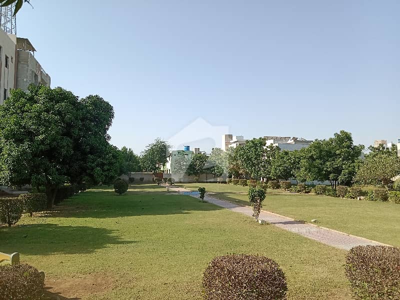park facing . . . park facing . . .