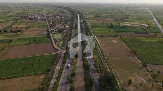 12 Acre Agriculture Land for Sale on Canal Expressway Faisalabad Near Downtown Zero Point 12 Acre Agriculture Land for Sale on Canal Expressway Faisalabad Near Downtown Zero Point