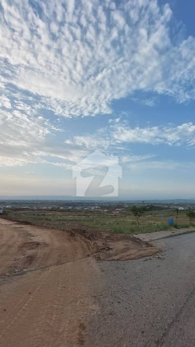 Beautiful Corner Plot Urgent For Sale