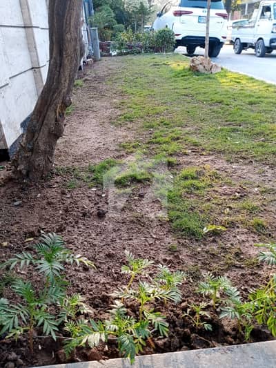E-16/3 Plot For Sale