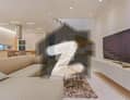 1 1