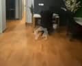 9 9