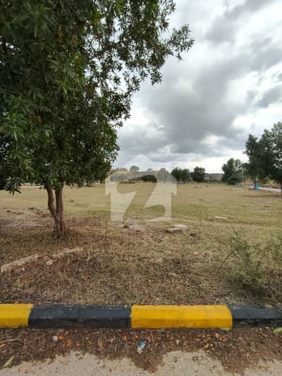 Plot File Available For Sale In DHA Phase 7 Plot File Available For Sale In DHA Phase 7