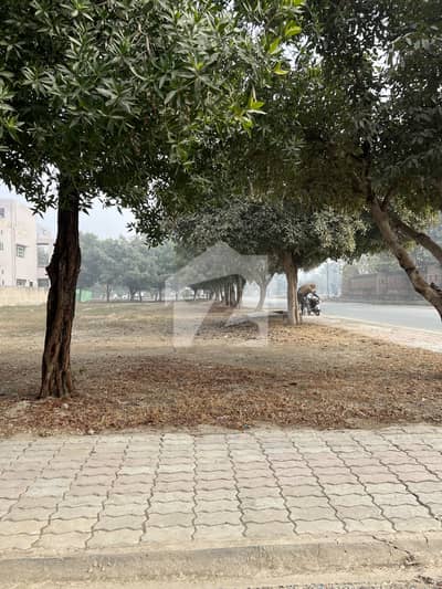 One Kanal Plot For Sale Phase 6 D Block