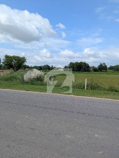 20 Kanal Farm House Land For Sale