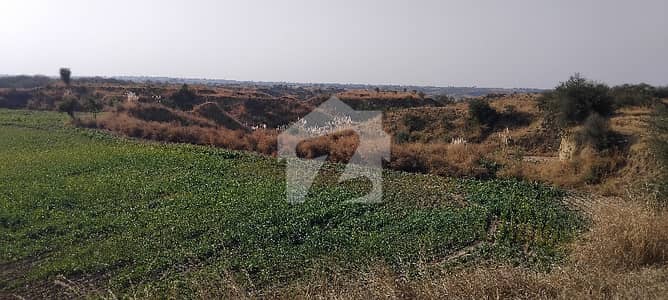 400 Kanal Agricultural Land For Sale In Balksar