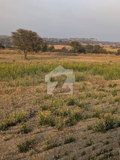 40 Kanal Agricultural Land For Sale In Nella Dullah Interchange