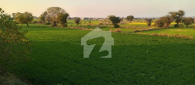240 Kanal Agriculture Land Sale In Chakwal