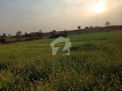 30 Kanal Faram House Land For Sale Nella Dulla Chakwal