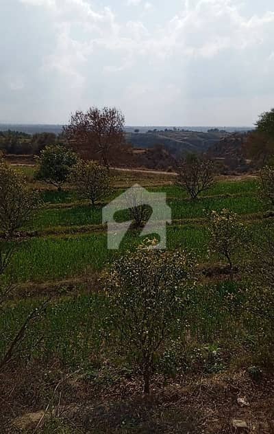 580 Kanal Agriculture Faram House Land For Sale Balksar Interchange Chakwal