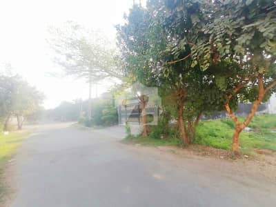 VALENCIA TOWN ONE KANAL WITH BEST PRICE IS AVAILABLE FOR SALE
