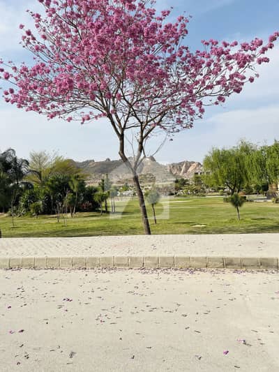 ایم پی سی ایچ ایس - بلاک ای ایم پی سی ایچ ایس ۔ ملٹی گارڈنز,بی ۔ 17,اسلام آباد میں 8 مرلہ رہائشی پلاٹ 1.1 کروڑ میں برائے فروخت۔