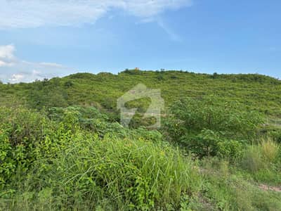 Possession Farm Good View | Sector "B" Facing Water Stream