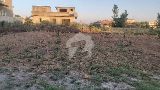 1 Kanal Proper Corner Plot Is For Sale In D-12 Islamabad