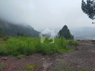 کٹھوال ایبٹ آباد میں 2 کنال رہائشی پلاٹ 5.2 کروڑ میں برائے فروخت۔