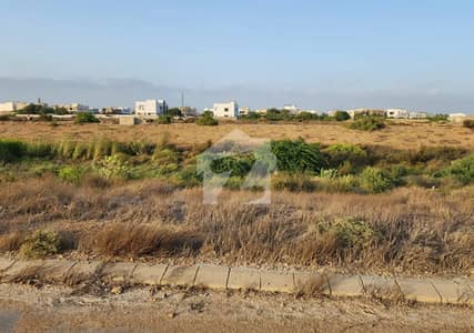 1000sq Yards Plot Available For Sale