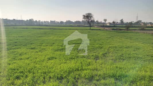 124 Kanal Agriculture and Commercial Land Available in Kasur Burj Road, Gandha Singh