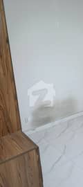 10 10