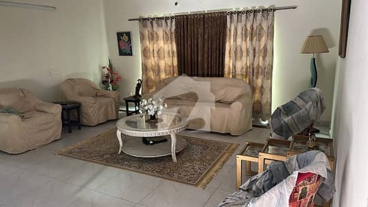 Upper Portion Neat & Clean Upper Portion Neat & Clean