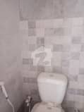 5 5
