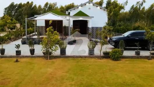 6 Kanal Orchard Farm House For Sale