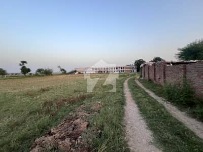 Poultry Farm ( Space Available For 12000 Layer ) 10 Kanal Area