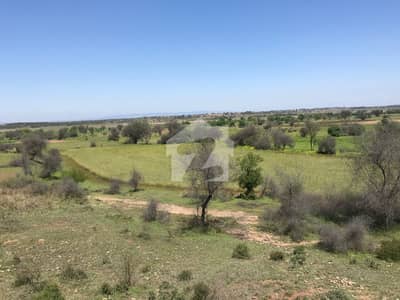 Zarai Farm (350 Kanal) Including Cattle Shed, Fruit Orchard & Dam For Rent