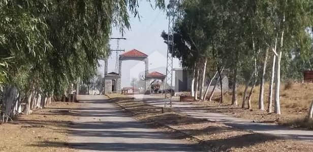 1 Kanal Plot For Sale In Kashmir Model Town