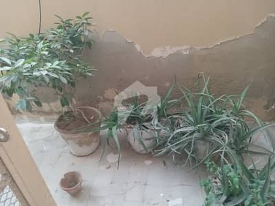 KDA Transfer GPC Plots For Sale