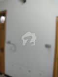 5 5