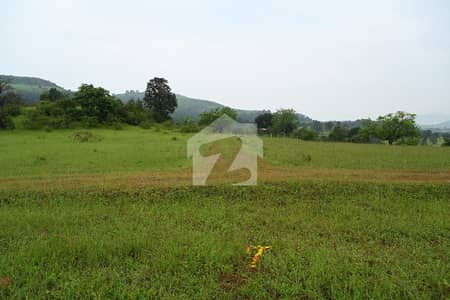 88 Kanal Fertile Agricultural Land For Sale In Sheikhupura