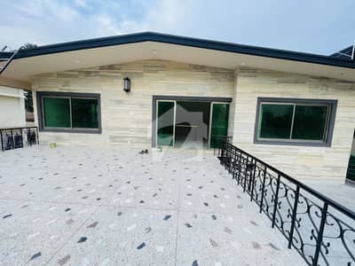 A Luxury Renovated House Available For Rent