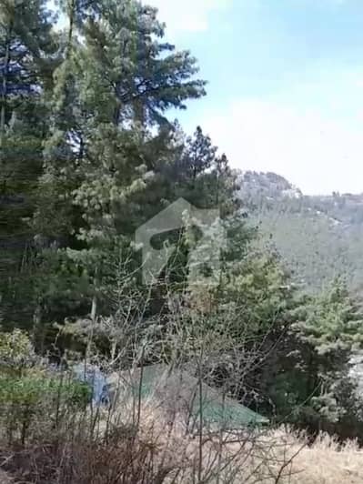 15 Marla Heighted plot Murree, Barian Near Kali Mitti Stop Basic Health Unit